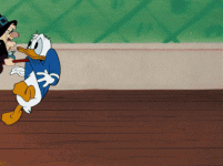 Donald duck on broom.gif