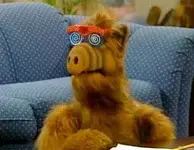 Alf with hypnotic glasses.webp