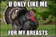 you only like me for my breasts.jpg