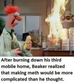 Beaker burns down 3rd mobile home.jpg