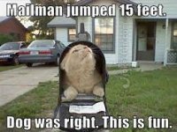 cat playing trick on mailman.jpg