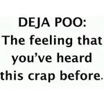 Deja Poo.webp