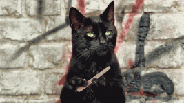 Black Cat sharpening it's claws.gif