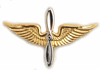 Aviation Branch.gif