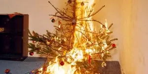 Weihnachtsbaum.webp