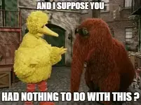 Big Bird Snuffy.webp