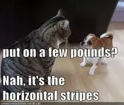 Horizontal stripes.webp