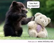 baby-bear-punches-teddy-bear.webp