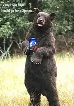 drunk_bear.webp