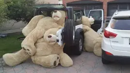 teddy bears.webp