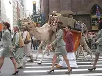 camel-3.webp