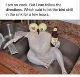 Turkey in the sink chilling.webp