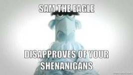 The eagle disapproves of your shenanigans.jpg