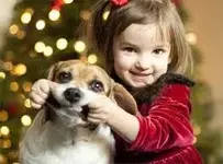 Christmas dog forced smile.webp