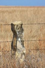 b3d096b03c893f885c9e9cef86e5fe17--rustic-fence-country-fences.jpg