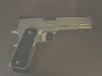 Sig 1911.webp