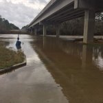 Flint River 1-4-2018.JPG