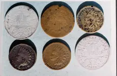 Tortilla Coins 1.webp