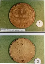 Tortilla Coins 2.webp