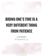 biding-ones-time-is-a-very-different-thing-from-patience-quote-1.webp