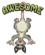 awesomepossum.webp