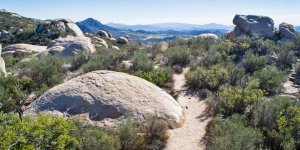 Mystery Rock Local Mountains.jpg