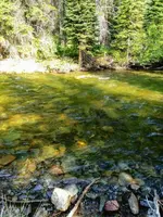 Clear River.webp