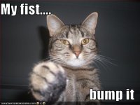 fist_bump_lolcats.jpg