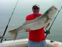 big striper.webp