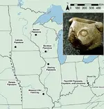 owlpipesillinois3map.webp