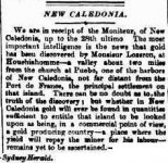 Herald  Tuesday 21 July 1863, page 3 new calidonia gold.jpg