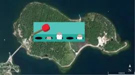 oakisland-whack-a-mole.webp