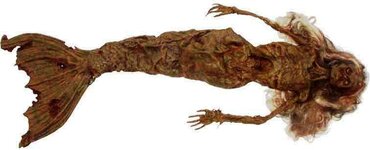 mermaid_mummified_a_01b.jpg