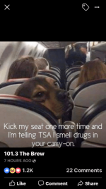 TSA.png