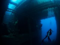 Coolidge-interior-with-diver-credit-Heather-Sutton_B222234.jpg