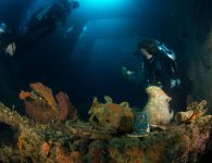 Crockery-and-coral-inside-ship-Coolidge-credit-Heather-Sutton_B180990.jpg