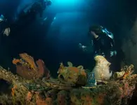 Crockery-and-coral-inside-ship-Coolidge-credit-Heather-Sutton_B180990.webp