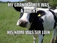 Cow-Meme.webp