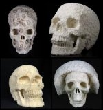 Skull1.jpg