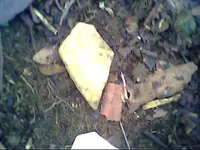 some of the marker rocks found beneath the boulder of pentagon 2.webp