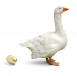 Goose-and-golden-egg.jpg