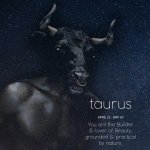 Taurus b.jpg