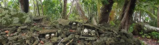 Skull-Island-Background1.webp