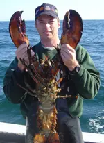 12 Pound Lobster.webp