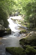 smokies hdr 1 (Small).jpg