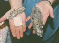 silver cache found in Utah cave.webp