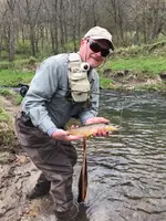 brown trout on a fly.webp