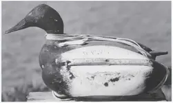 duck decoy weight.webp