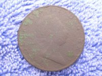 Bermuda Copper F-small.jpg