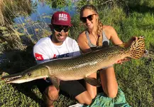 Florida gar 2019 May.webp